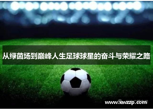 从绿茵场到巅峰人生足球球星的奋斗与荣耀之路