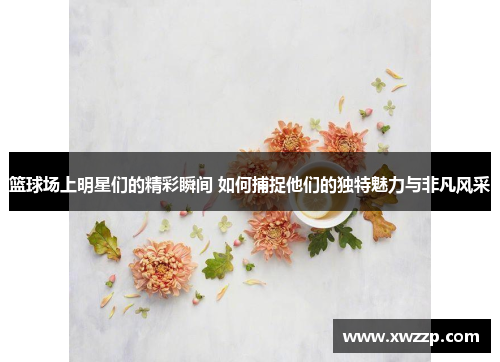 篮球场上明星们的精彩瞬间 如何捕捉他们的独特魅力与非凡风采